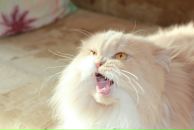 Фотография Мургашев Алексей