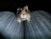 Фотография Хариной Дарьи