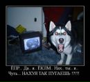 Фотография Киря Уйманов