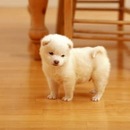 Діана Береза фотография #16 (источник - https://vk.com/id157656163)