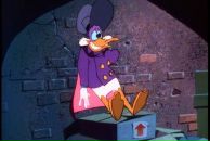 Фотография Сологуб Анастасии