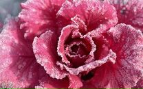 Фотография Tarasova Ulishka