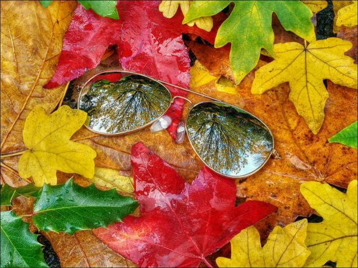 №6, Павел Дончук №6, Павел Дончук