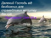 Андрій Ленько фотография #1