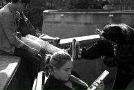 Рома Пасько фотография #42 (источник - https://vk.com/id126984)