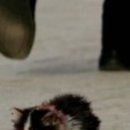 Марія Юськевич фотография #29 (источник - https://vk.com/id76562134)