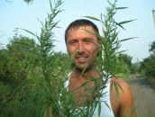 Фотография Голубова Романа