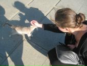 Фотография Ваулиной Дарии