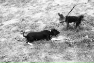 Фотография Шкарёнкова Саши