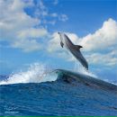 Соля Зубік фотография #35 (источник - https://vk.com/id143210925)