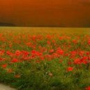 Марічка Билинь фотография #19 (источник - https://vk.com/id13386712)