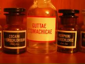 Фотография Войткова Александра