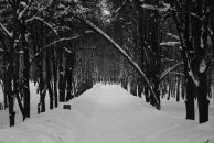 Фотография Kolya Kolya