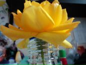 Фотография Сухановой Анастасии