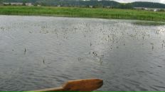 Фотография Колобовой Юлии