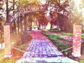 Алексей Вишняков фотография #49 (источник - https://vk.com/id8159136)