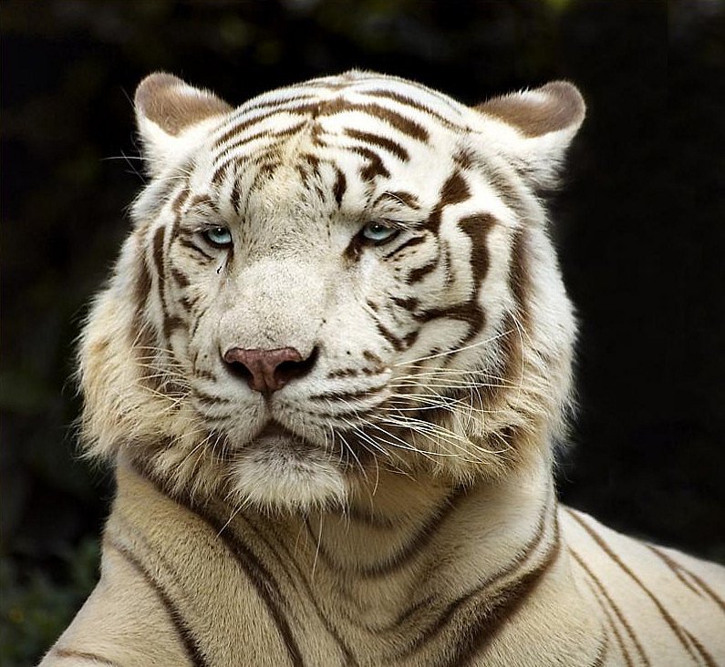 Andrei Knel фотография #50