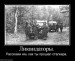  фотография #6