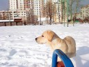 Інді Живко фотография #6 (источник - https://vk.com/id82626680)