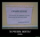 Фотография Вадим Выборнов