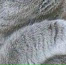 Андрій Васютин фотография #19 (источник - https://vk.com/id17618279)