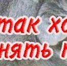 Андрій Васютин фотография #16 (источник - https://vk.com/id17618279)