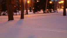 Руслан Асадуллин фотография #16 (источник - https://vk.com/id104181567)