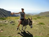 Фотография Софронов Кирилл