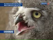 Фотография Смирновой Маришки