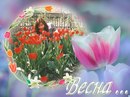 Ірина Радченко фотография #9 (источник - https://vk.com/id121496553)