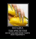 Дмитрий Зайцев фотография #40 (источник - https://vk.com/id15041529)