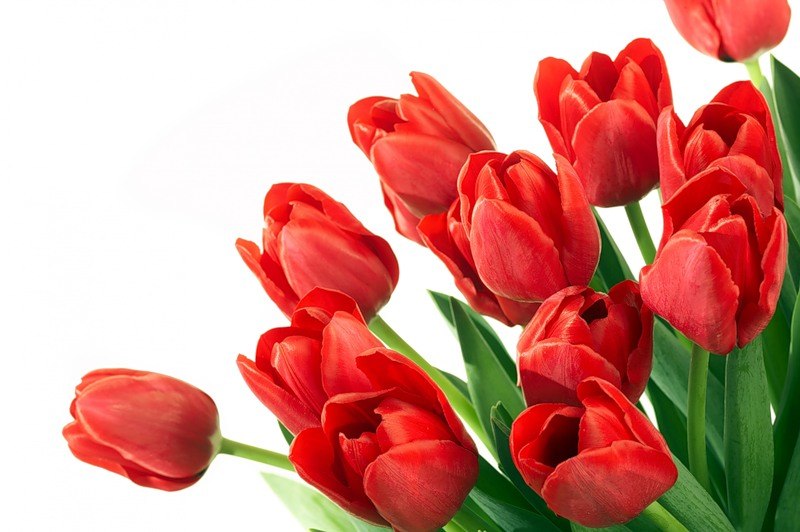 Дмитрий Сбитнёв фотография #14