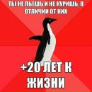 Фотография Шеховцова Витали