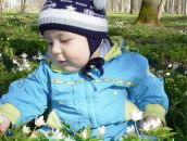 Фотография Васильевой Елены