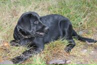 Артём Васильев фотография #41 (источник - https://vk.com/id657491)