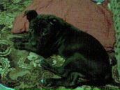 Артур Фірсов фотография #7 (источник - https://vk.com/id73835374)