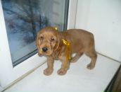 Sweet Lana фотография #49 (источник - https://vk.com/id3865831)