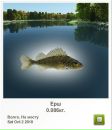 Віталій Пастрама фотография #28 (источник - https://vk.com/id34071171)