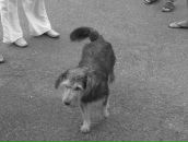 Андрій Ткач фотография #45 (источник - https://vk.com/id5782782)