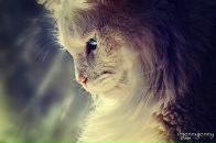 Фотография Кузнецова Михаила