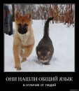 Натуська Білокур фотография #9 (источник - https://vk.com/id58570712)