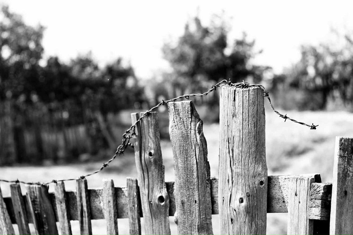 Дмитрий Быков фотография #39