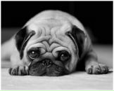 Фотография Парахневича Артема