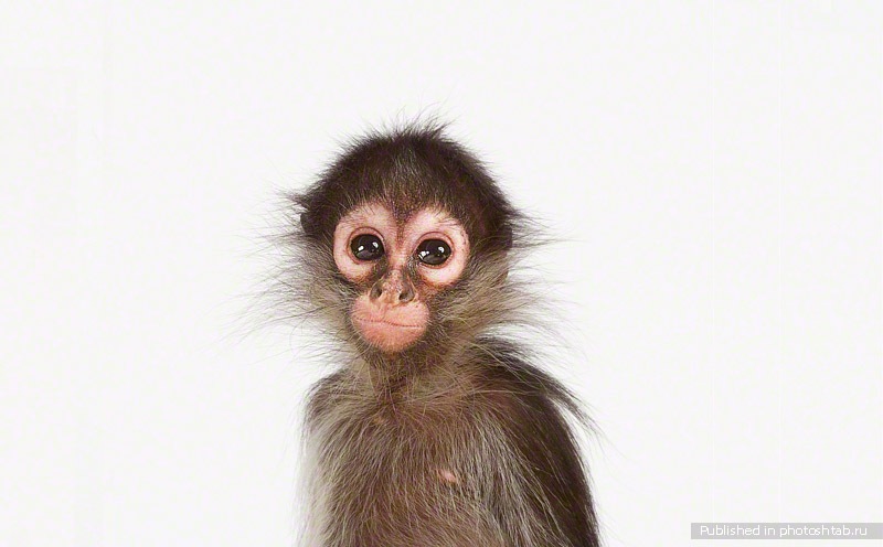 Сергей Барышников фотография #14