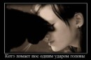 Андрей Сергеев фотография #19 (источник - https://vk.com/id775176)
