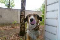 Фотография Полушиной Екатерины