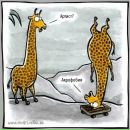 Фотография Казакова Александра