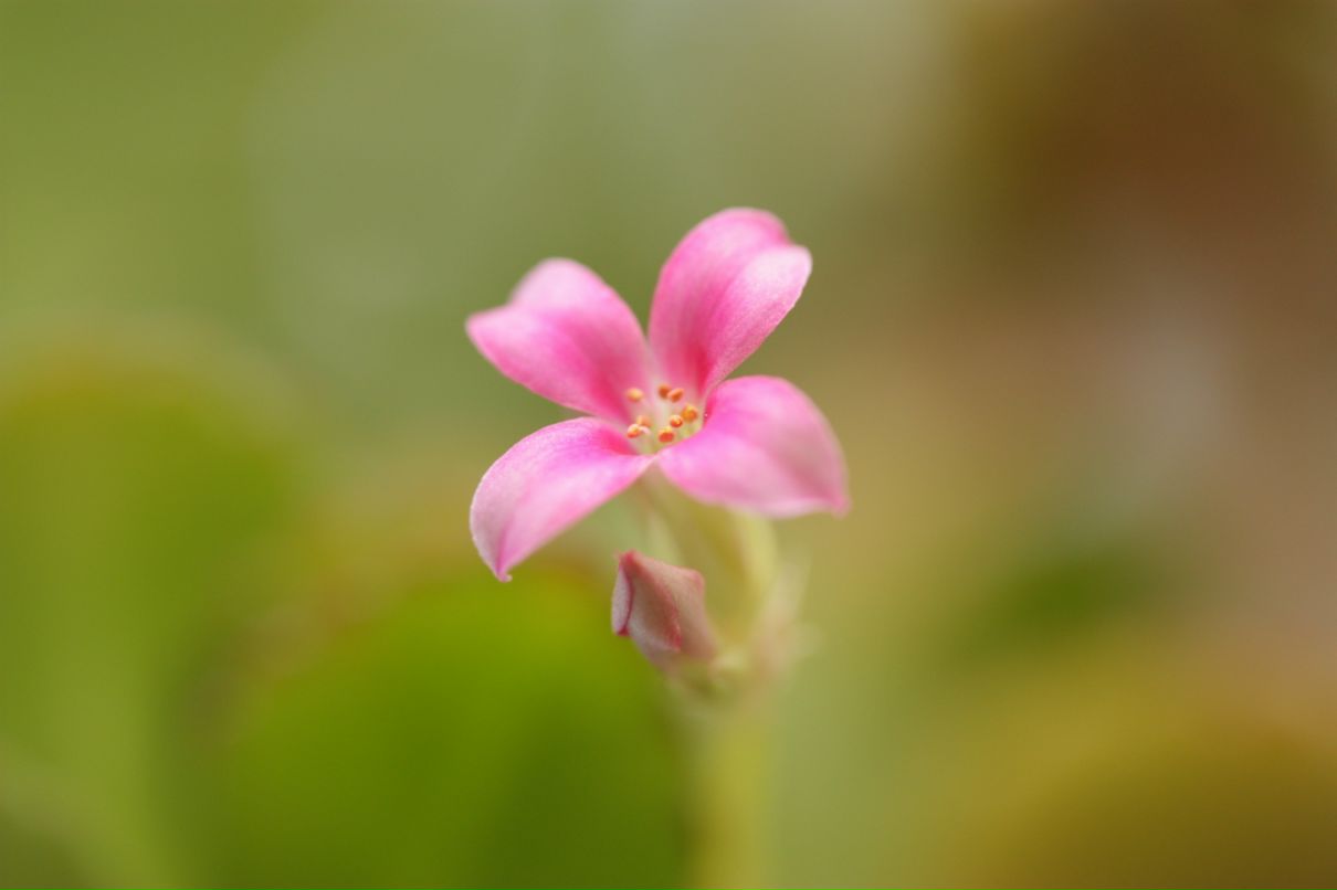 Фёдор Сумкин фотография #46