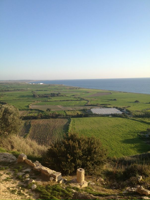 Дарья Малик фотография #43