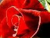 Людка Марціновська фотография #2 (источник - https://vk.com/id112256199)